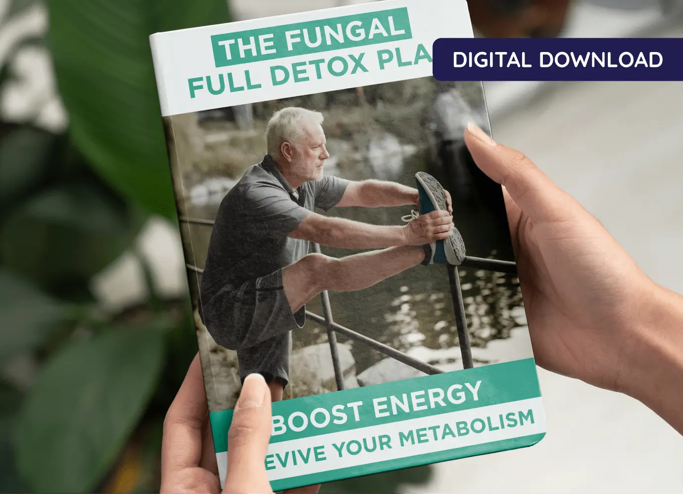 The Fungal Full Detox Plan digital guide for energy and metabolism